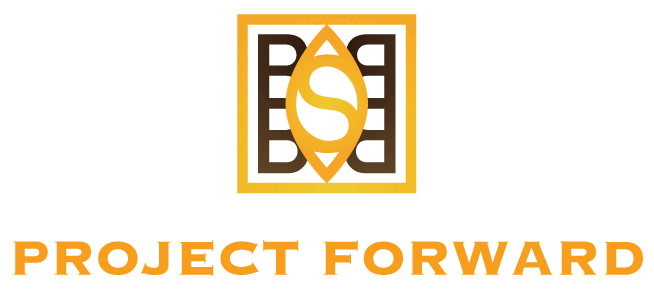 Project Forward Mn Home Solar and BESS Solutions Property Development Projects Contact Us